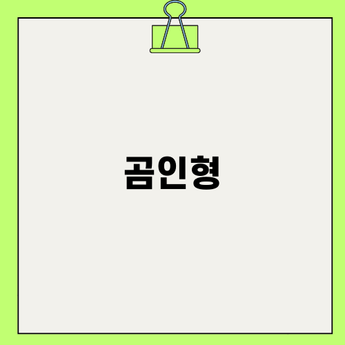 곰인형 같은 사랑스러운 테디비숑