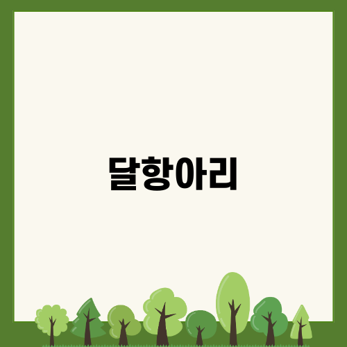 아름다운 달항아리의 매력