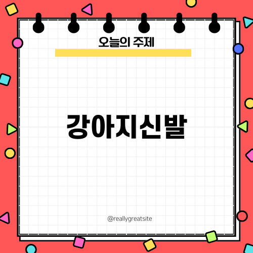강아지신발로 겨울 산책하기