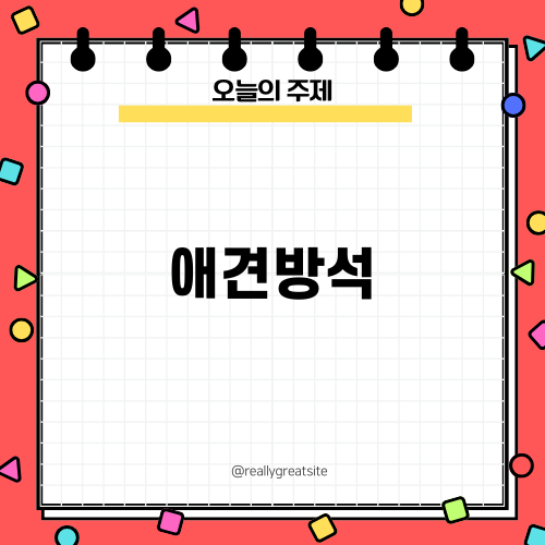 사랑스러운 애견방석 펫퀸 소개