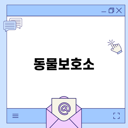 광주 동물보호소에서의 입양 이야기