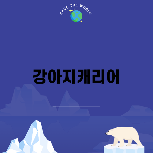 완벽한 강아지캐리어 선택법