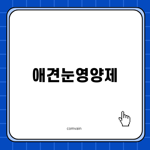 애견눈영양제 선택과 효과