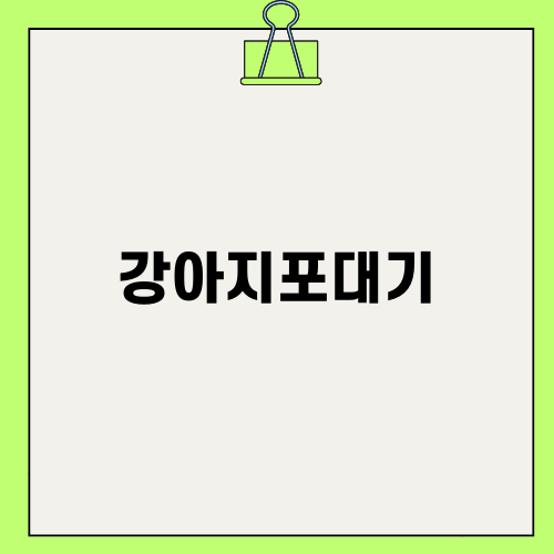 강아지포대기 선택 가이드