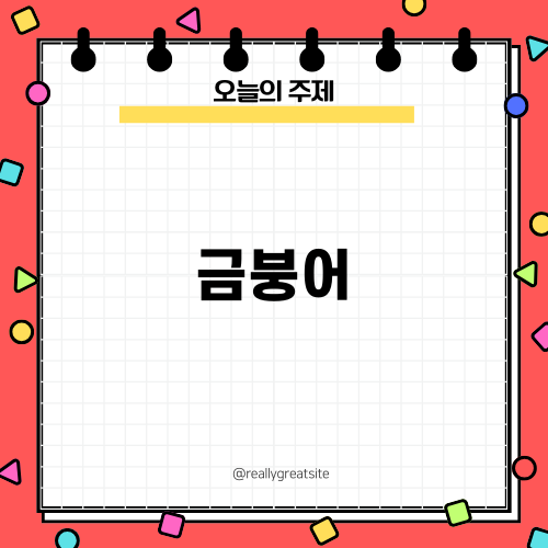 예쁜 금붕어 키우기