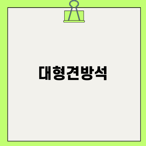 대형견방석 완벽 가이드