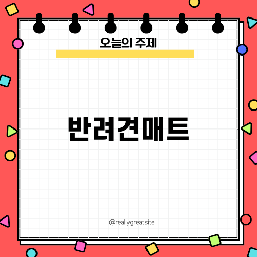 안전하고 편안한 반려견매트 선택하기