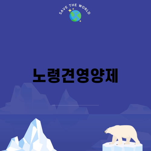 노령견영양제로 반려견 건강 챙기기